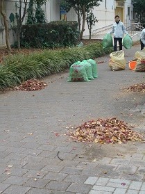 清掃状況 北側5