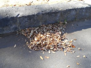 1414 　ゴミの山　表紙