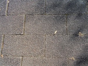 1420 きれいな道路