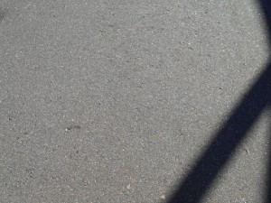 1421　きれいな道路2