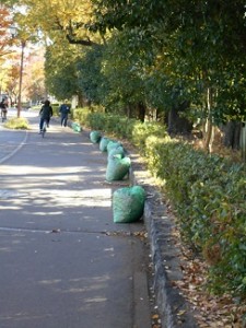 1423　ゴミ袋の山