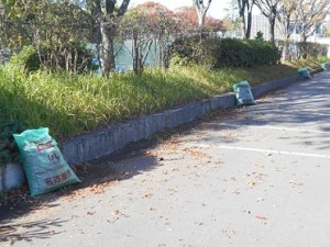 DSCN4586　ごみ袋（4袋）